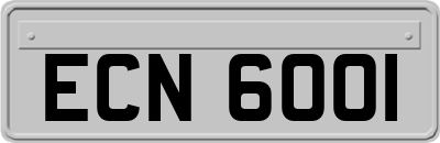 ECN6001