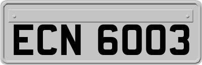 ECN6003