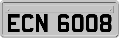 ECN6008