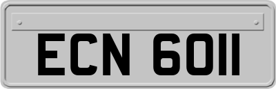 ECN6011