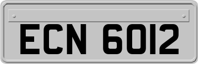 ECN6012