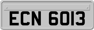 ECN6013