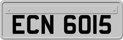 ECN6015