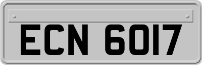 ECN6017