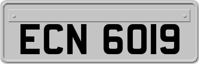 ECN6019