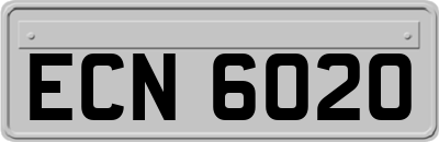 ECN6020