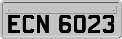 ECN6023