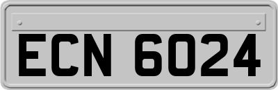 ECN6024