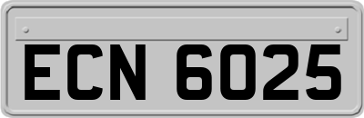ECN6025