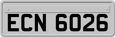 ECN6026