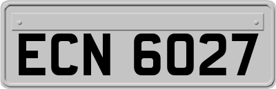 ECN6027
