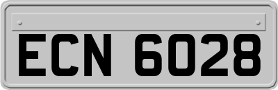 ECN6028