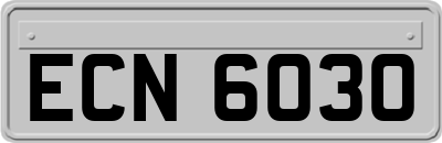 ECN6030