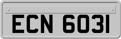 ECN6031