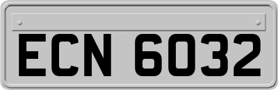 ECN6032