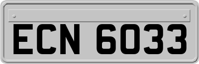 ECN6033