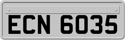 ECN6035