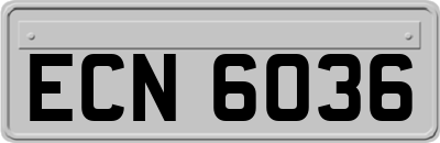 ECN6036