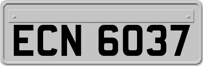 ECN6037