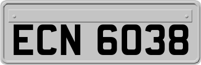 ECN6038
