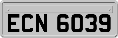 ECN6039