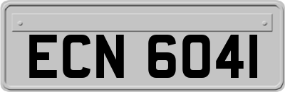 ECN6041