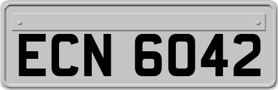 ECN6042