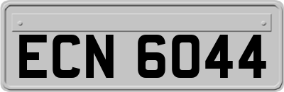 ECN6044