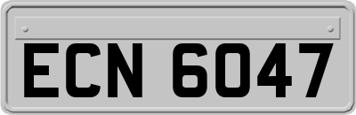 ECN6047