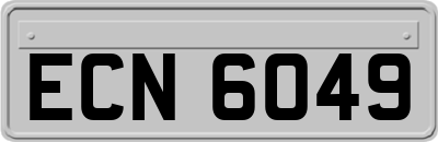 ECN6049
