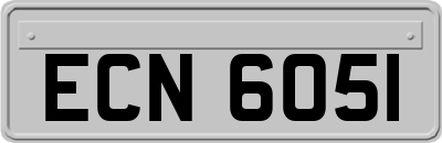 ECN6051