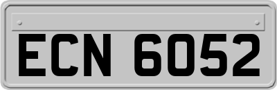 ECN6052
