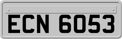 ECN6053