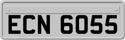 ECN6055