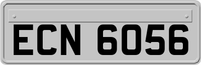 ECN6056