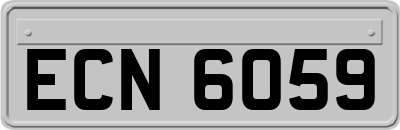 ECN6059