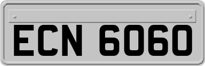 ECN6060