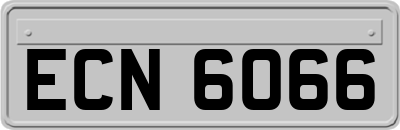 ECN6066