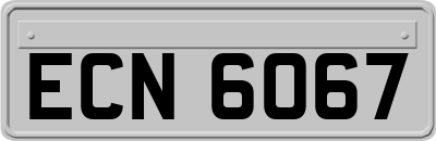 ECN6067
