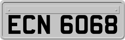 ECN6068
