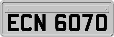 ECN6070
