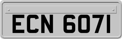 ECN6071