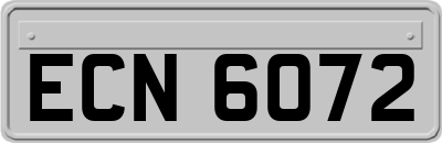 ECN6072