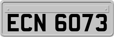 ECN6073