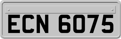 ECN6075