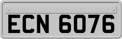 ECN6076