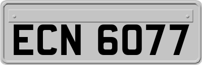 ECN6077