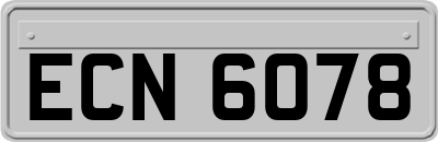 ECN6078