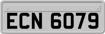 ECN6079