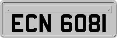 ECN6081